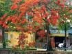 <b>Vé máy bay đi Hải Phòng giá rẻ tại TP.HCM</b>